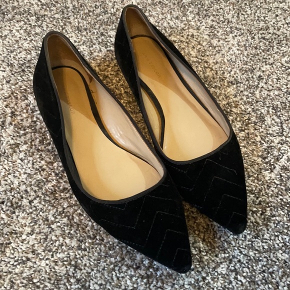 Ann Taylor Shoes - Gorgeous velvet Ann Taylor flats
